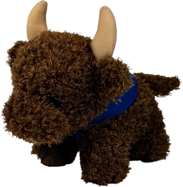 University at Buffalo 8" Plush