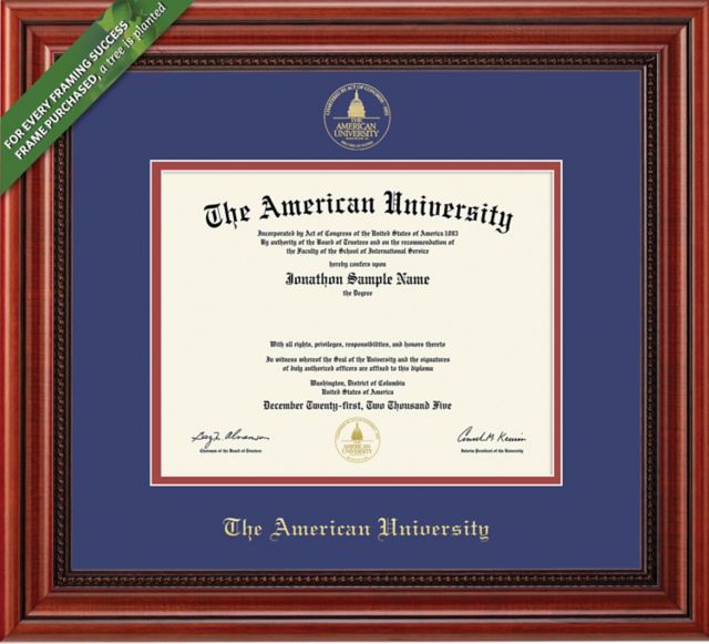 American University Millenium BA/MA/PhD Diploma Frame -ONLINE ONLY