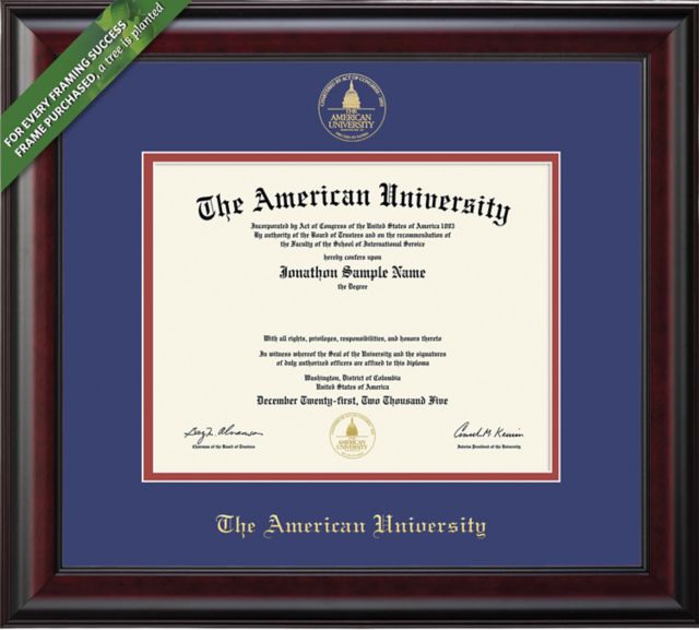Framing Success Classic 11 x 14 BA/MA/PhD Diploma with Double mat - ONLINE ONLY