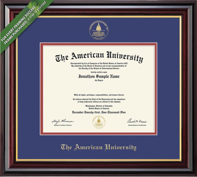 Framing Success Windsor 11 x 14 BA/MA/PhD Diploma with Double mat - ONLINE ONLY