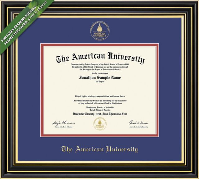 Framing Success Prestige 11 x 14 BA/MA/PhD Diploma with Double mat - ONLINE ONLY