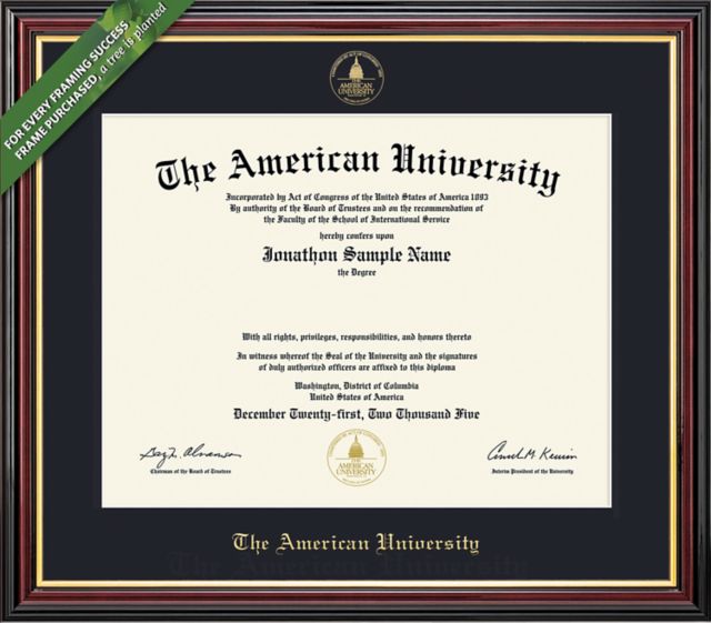 Framing Success Academic 11 x 14 BA/MA/PhD Diploma with Single mat - ONLINE ONLY