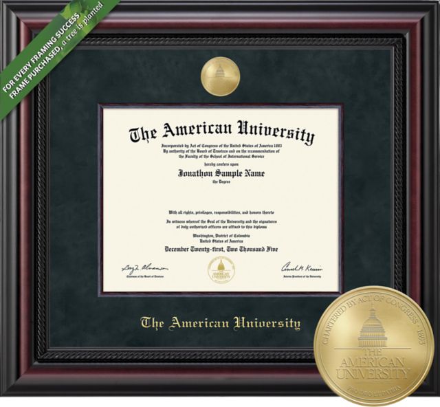 Framing Success Legacy 11 x 14 BA/MA/PhD Diploma with Black Suede mat and Wood Fillet with Medallion - ONLINE ONLY
