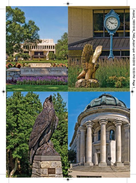 American University 5x7 Postcard