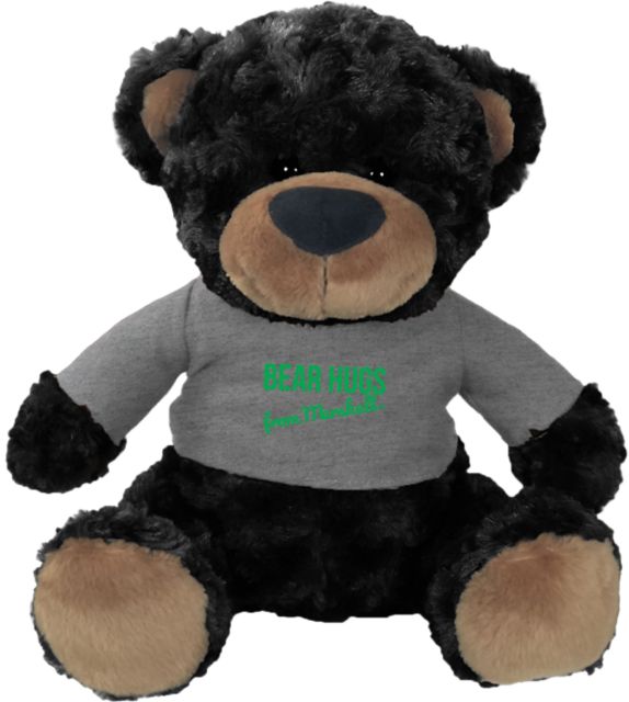 Black Bear