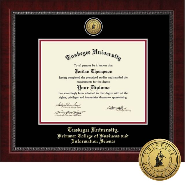 Church Hill Classics, Business Information Science, Engraved, 8.5x11, Bachelors,Masters,PhD, Diploma Frame - ONLINE ONLY