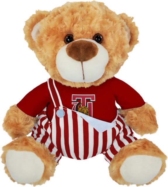 Tuskegee University 10'' Game Day Bear