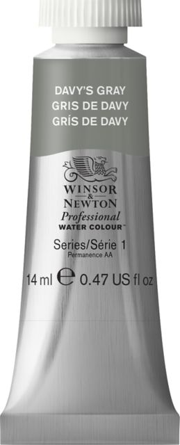 Professional Watercolor 14mL Davy Gray