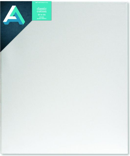 CANVAS STUDIO 20X24