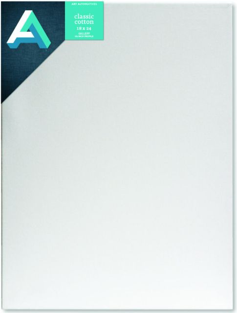 CANVAS GALLERY 18X24