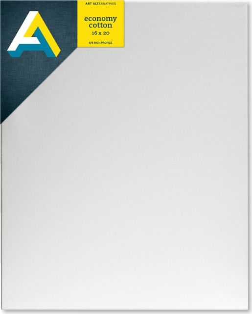 CANVAS BULK ECONO 16X20 1PC