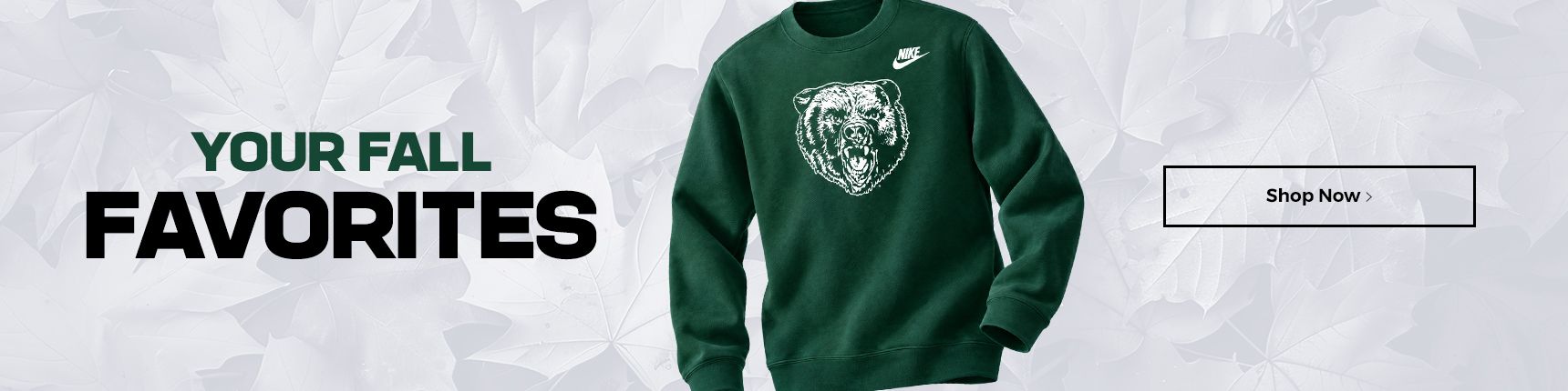 Your Fall Favorites