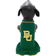 Extra Small, Baylor Bears Collegiate Dog Collar