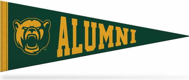 Baylor University 9x24 Bears Alumni Pennant