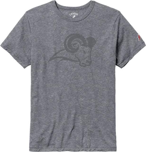 Texas Wesleyan University Victory Falls Short Sleeve T-Shirt