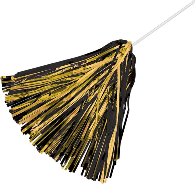 Bowie State University Shimmer Pom