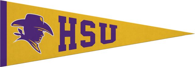 Hardin-Simmons University Cowboys 5x15 Pennant