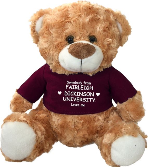 Fairleigh Dickinson University 10 in. Plush Bear