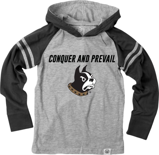 Wofford College Terriers Toddler Boys Raglan Hooded Long Sleeve Shirt