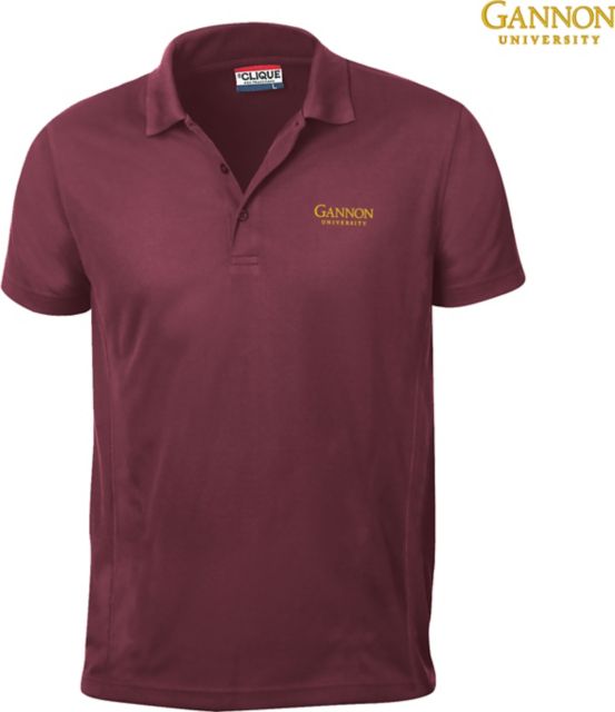 Gannon University Ice Polo