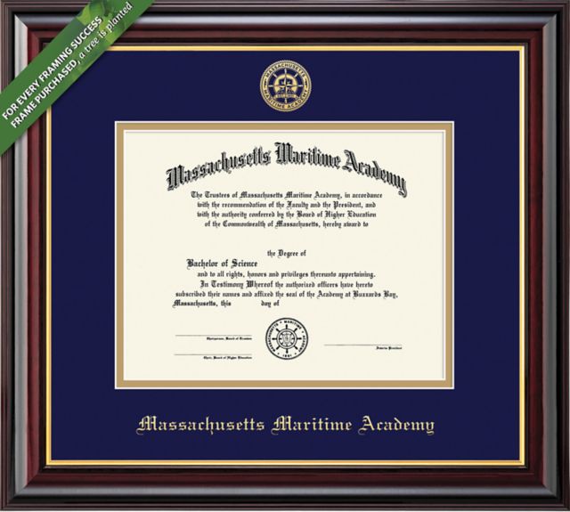 Massachusetts Maritime Academy 11'' x 14'' Windsor Diploma Frame