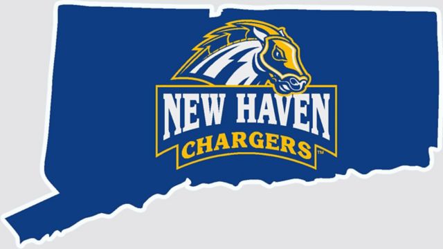 University of New Haven Decal