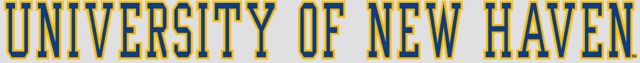 University of New Haven Strip Decal