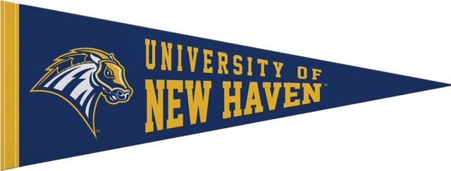 University of New Haven 9X24" Full Color Pennant"