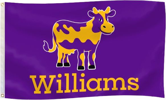 Williams College 3 x 5 Durawave Flag