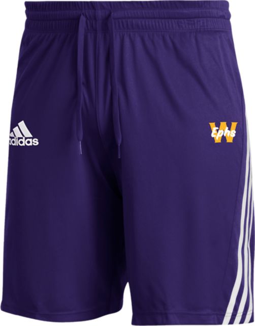 Williams College Knit Shorts