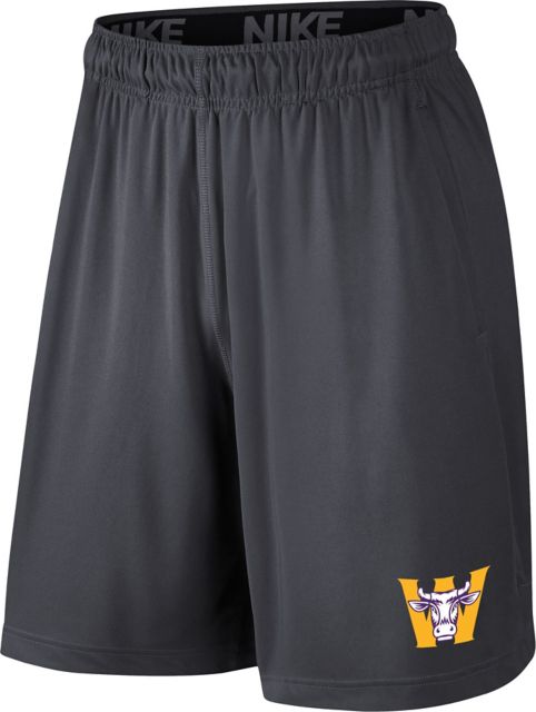 Nike college fly clearance shorts