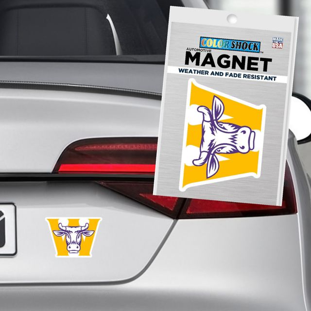 Williams College 4'' x 4'' Magnet