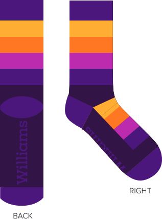 Women of Williams College Socks
