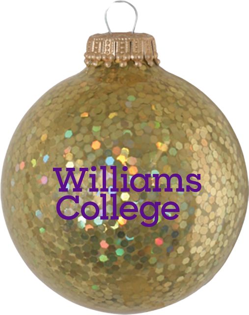 Sparkle Glass Ball Ornament