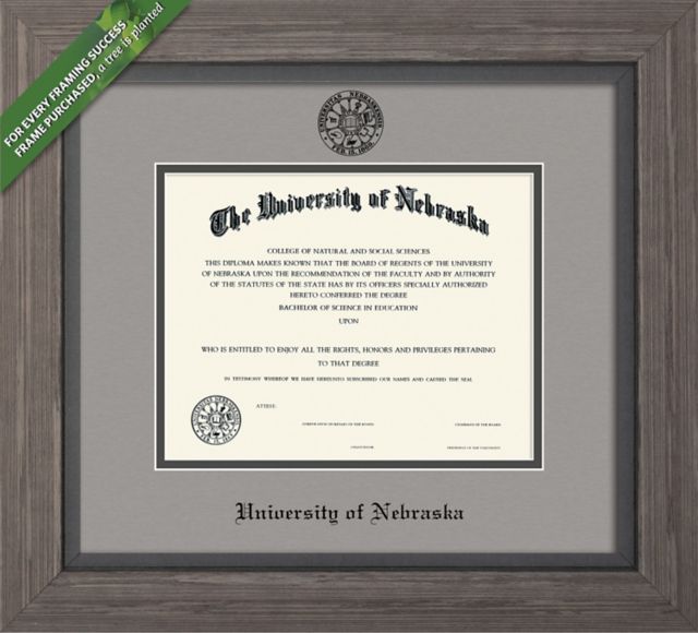 Framing Success Greystone 8.5 X 11 Diploma With Double Mat - ONLINE ONLY