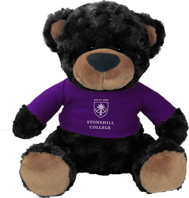 Stonehill College 10 in. Plush Bear