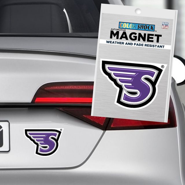 Stonehill College Skyhawks 6'' Magnet