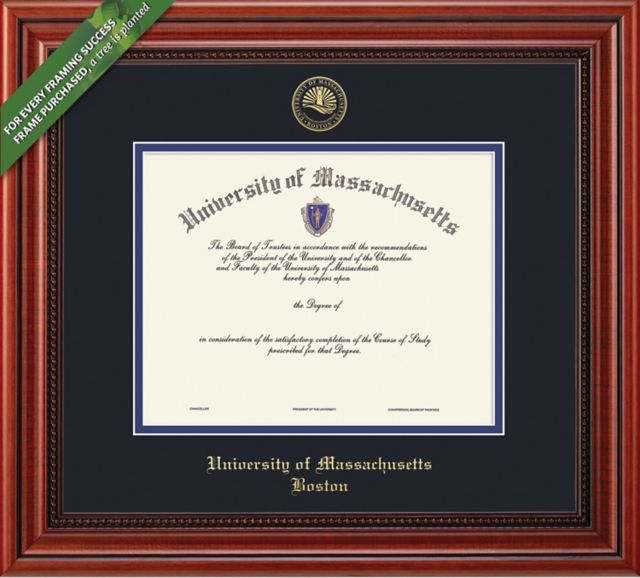 Framing Success Millennium 8.5 x 11  Diploma with Double Mat - ONLINE ONLY