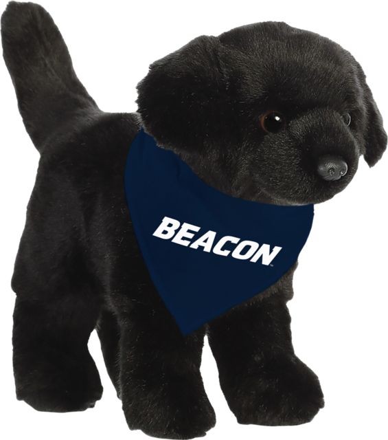 University of Massachusetts-Boston Beacons Plush
