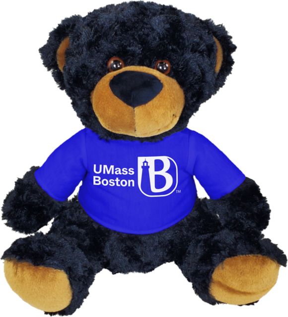 University of Massachusetts-Boston 10 in. Plush Bear