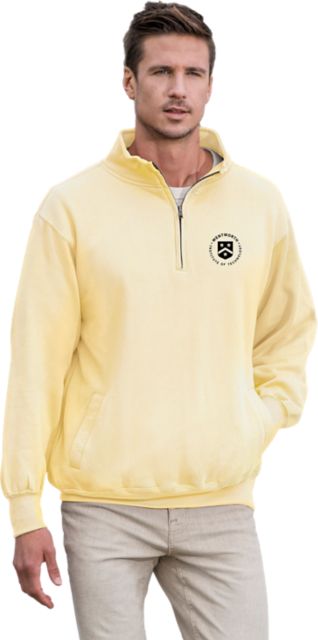Wentworth Institute of Technology Leopards 1/4 Zip