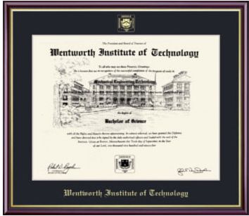Wentworth Institute of Technology 11'' x 14'' Value Price Academic Diploma Frame