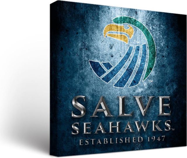 Wagner Seahawks Canvas Wall Art Museum Design (24x36) - ONLINE ONLY: Wagner  College