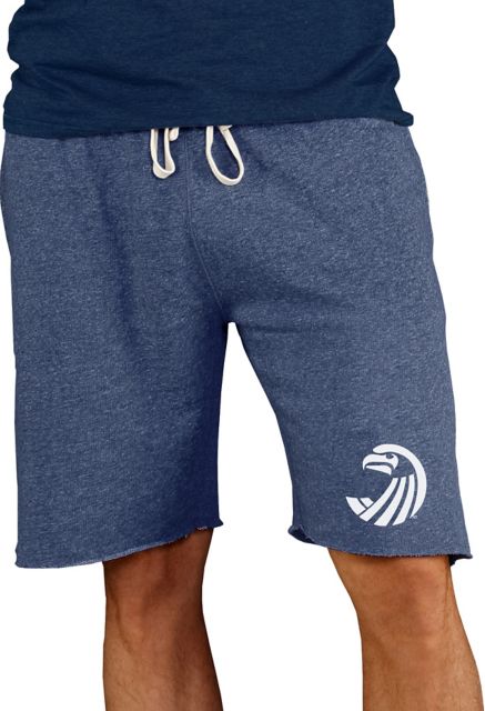 Concepts Sport Men's Seattle Seahawks Mainstream Terry Navy Shorts