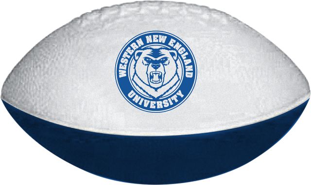 Western New England University Mini Golden Bears Football