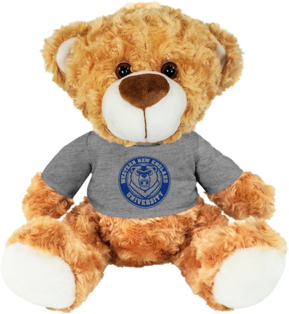 Western New England University 10 in. Plush Bear