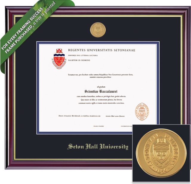 Seton Hall University 8.5'' x 11'' Windsor Diploma Frame