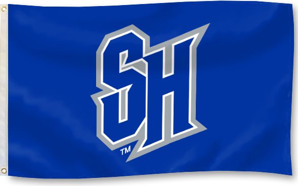 Seton Hall University 3x5' School Flag