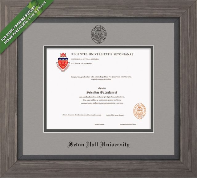 Framing Success Greystone 8.5 X 11 Diploma With Double Mat - ONLINE ONLY