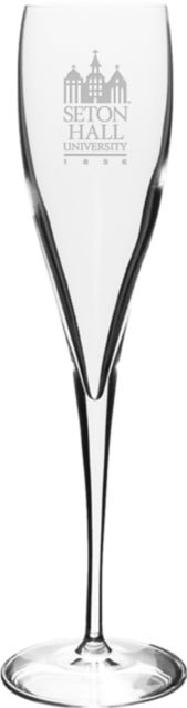 Seton Hall University Titanium Toasting Glass